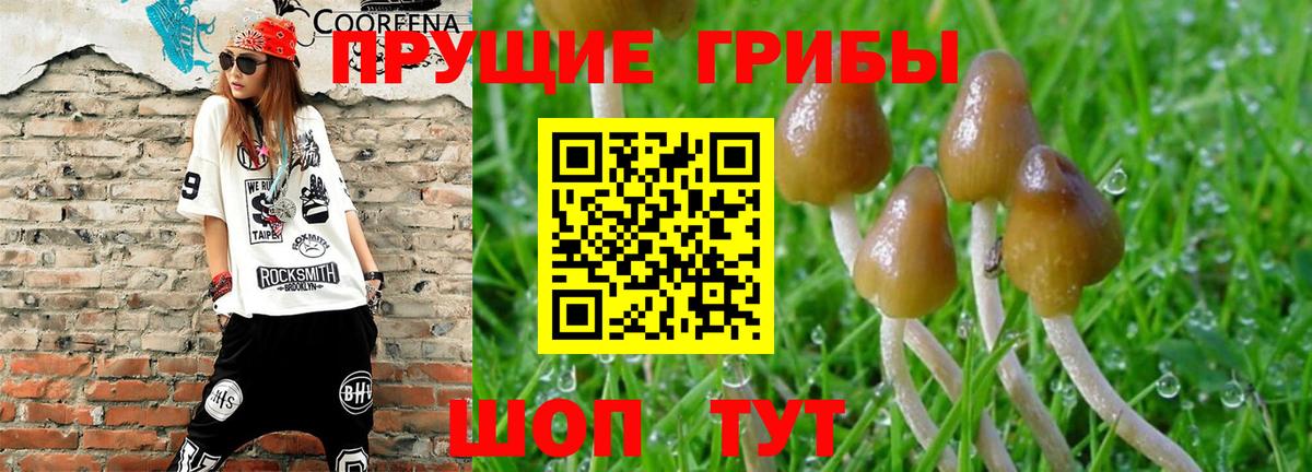 Псилоцибиновые грибы ЛСД Магнитогорск