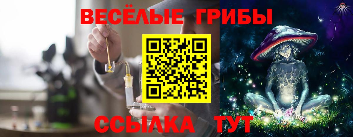 Магнитогорск  Галлюциногенные грибы GOLDEN TEACHER  Галлюциногенные грибы прущие грибы  Вход с VPN 